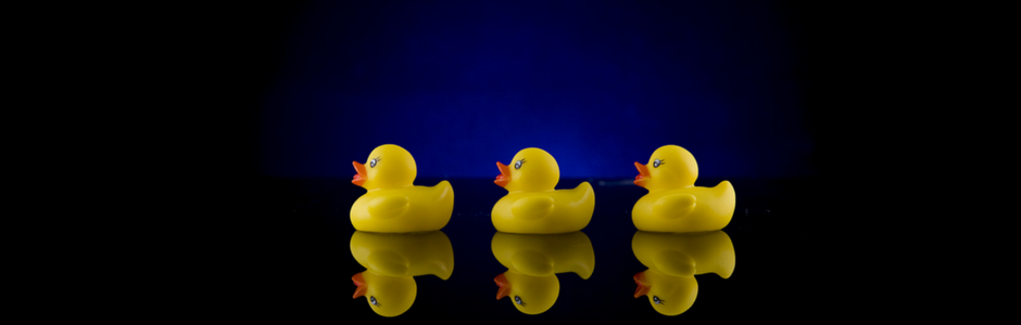 legal ducks in a row cover your assets online