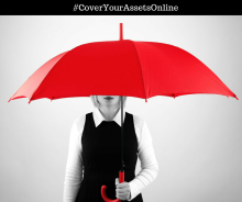 cover your assets online