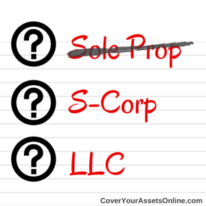 Sole Prop LLC or S Corp